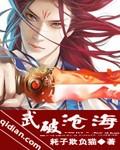 武破天穹百科