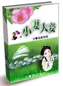 小妻大妾txt沧海明珠