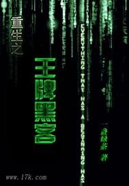 重生之王牌黑客在线阅读