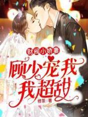 财阀小娇妻傅少宠上瘾
