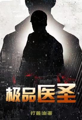极品医圣杨洛阅读