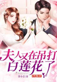 夫人又把人打了免费阅读