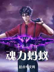 斗罗之20级魂力
