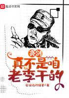 亮剑真不是咱老李干的 第276章