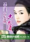 杀手总裁的出逃妻2
