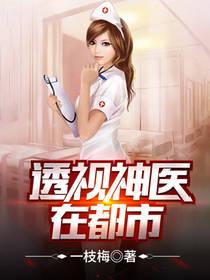 都市透视神医十年磨一剑著