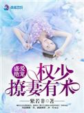 盛婚秘爱 权少追妻全文免费阅读