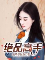 绝品高手林道