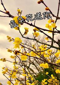这朵花送给你祝你快乐什么电影
