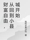 回到县城财富自由免费阅读