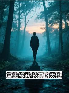 综武之最强内家拳
