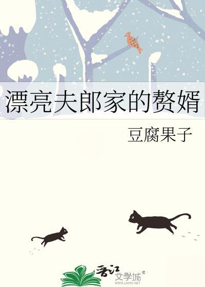 漂亮夫郎家的赘婿免费阅读by豆腐果子