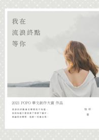 我在流浪歌词