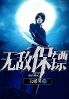无敌保镖破长空