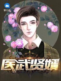 医武贤婿叶风免费阅读