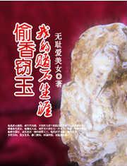 偷香窃玉我的赌石生涯全本