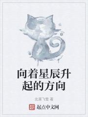 向着星辰与深渊下一句