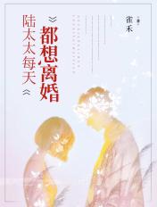 陆太太每天都想离婚完结版阅读